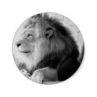 Lion Resting Profile Round Sticker
