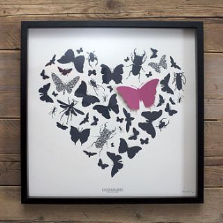 'entomology' screen print by helen ward studio