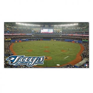 WinCraft MLB 28" x 52" Team Logo Floor Mat   Toronto Blue Jays