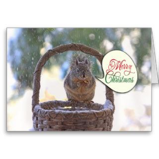 Squirrel in Snow Saying Merry Christmas Greeting Cards