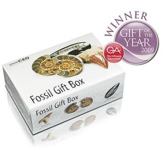fossil gift box by junior geo
