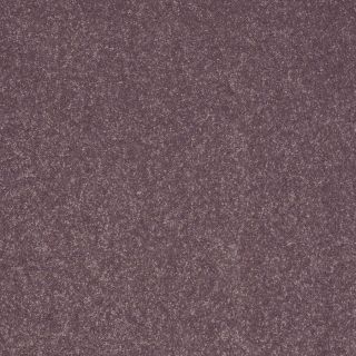 Shaw Intuition III Mulberry Textured Indoor Carpet
