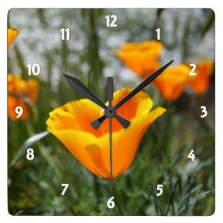 Golden California Poppies Wall Clocks