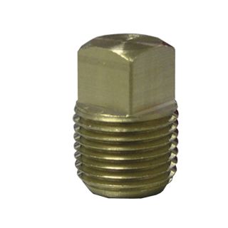 Watts 3/4 in Brass Pipe Fitting