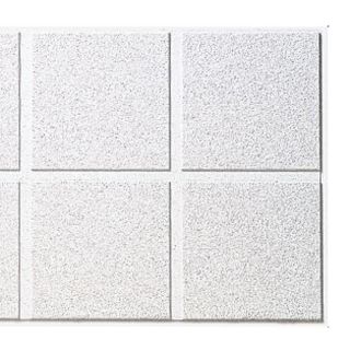 Armstrong 10 Pack Dune Second Look Ceiling Tile Panel (Common 24 in x 48 in; Actual 23.688 in x 47.688 in)