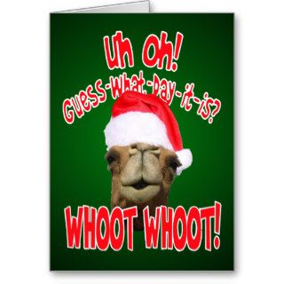 Hump Day Camel Christmas Greeting Cards