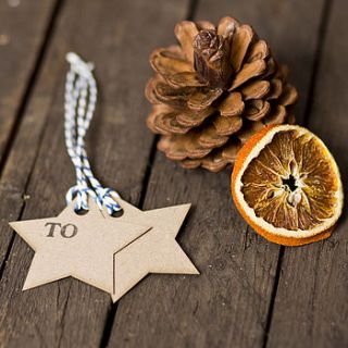 pack of recycled star shaped gift tags by sophia victoria joy