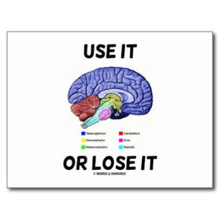 Use It Or Lose It (Brain Anatomy Humor Saying) Post Card