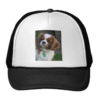 Cutest Dog In The World Trucker Hat