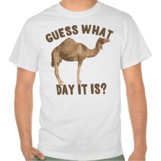 Funny Camel Hump Day T Shirt