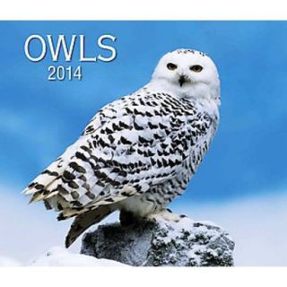 Owls 2014 Calendar