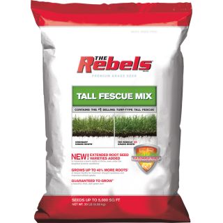 Rebel Rebels 20 lbs Sun and Shade Fescue Grass Seed Mixture