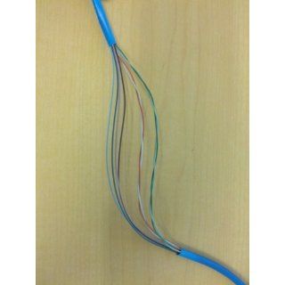 RiteAV   Cat5e Network Ethernet Cable   Blue   50 ft. Computers & Accessories