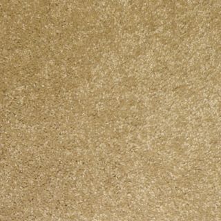 STAINMASTER Hartland Desert Sand Textured Indoor Carpet