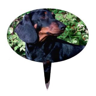Dog Frederick Black And Tan Mini Cake Toppers