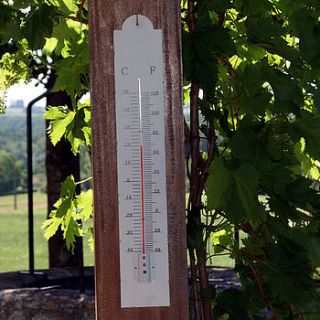 two foot tall thermometer by plant theatre