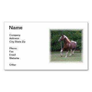 Brown & White Paint Horse Business Card