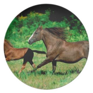 Horse Running With Offspring Plate