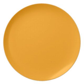 Plain Orange Background Party Plate