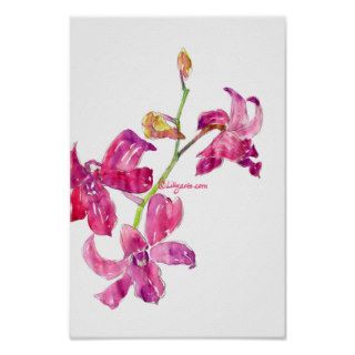 Pink Orchid Babies Floral Sketch Poster Print