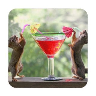Two Squirrels Drinking a Cocktail Drink Coasters