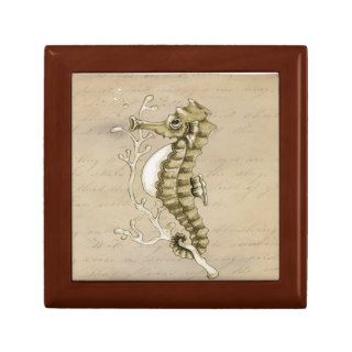 Old Fashioned Seahorse on Vintage Paper Background Gift Boxes