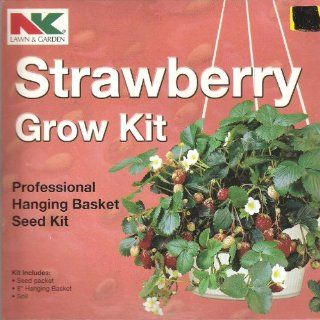New Professional Strawberry Hanging Basket Grow Kit  Planters  Patio, Lawn & Garden