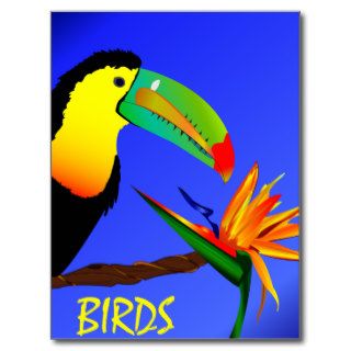 Tropical Birds Postcard
