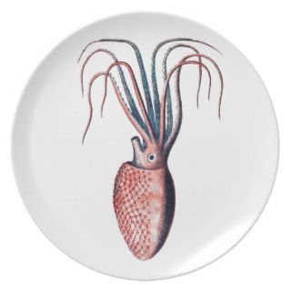 Octopus No.4 Cephalopod Sea Creature Illustration Dinner Plate