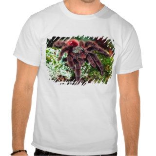 Martinique Tree Spider, Avicularia versicolor, T Shirt