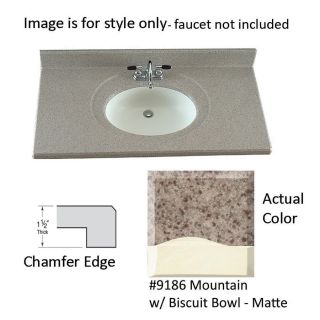 US Marble Designer 61 in W x 22 in D Mountain Cultured Marble Integral Single Sink Bathroom Vanity Top
