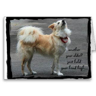 Funny Birthday, Cute Dog, Over the Hill Greeting Cards