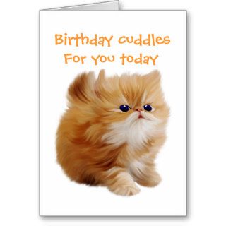 Fluff perfect kitten birthday cards