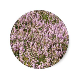 Heather Flowers Beautiful View Stickers