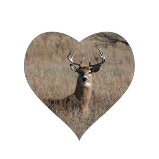 Big Trophy Buck Deer in Tall Grass Camo Heart Sticker