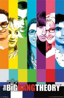 The Big Bang Theory Signal Poster