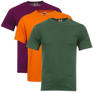 Fruit of the Loom/Jerzees Mens 3 Pack T Shirts   Large   Purple/Green/Orange      Clothing