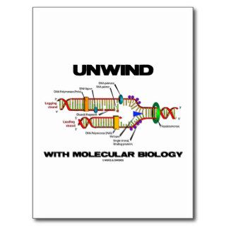 Unwind With Molecular Biology (DNA Replication) Postcards