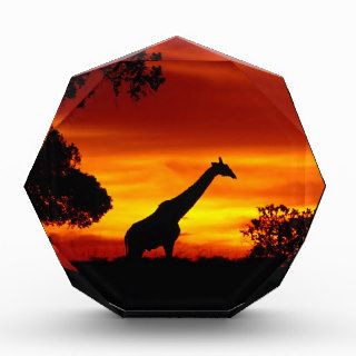 Giraffe Solitary Evening Acrylic Award