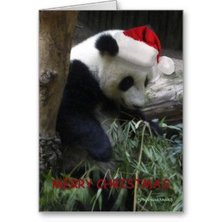 Merry Christmas Panda Happy New Year Greeting Cards