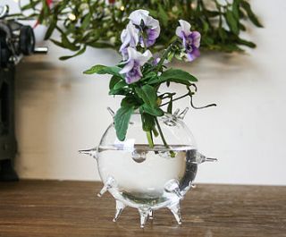 glass vase 'spike' by bonnie and bell