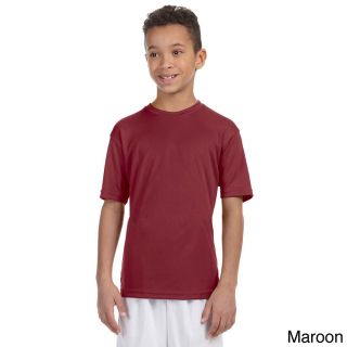 Harriton Youth Athletic Sport T shirt Brown Size L (14 16)