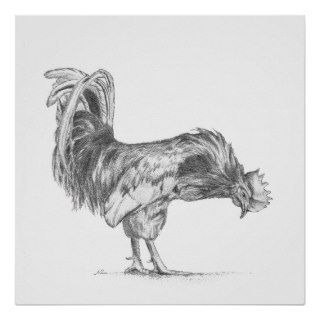 Black and White Rooster print