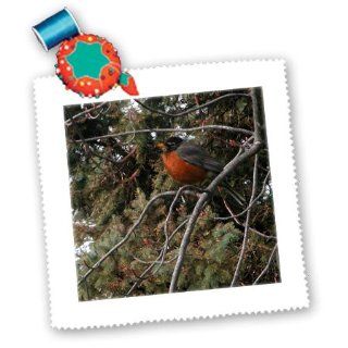 qs_17526_5 Beverly Turner Bird Design   Painted Robin   Quilt Squares   14x14 inch quilt square