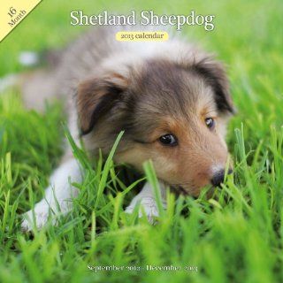 Magnet & Steel Shetland Sheepdog Traditional Wall Calendar  Pet Memorial Products 