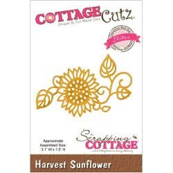 Cottagecutz Elites Die 3.1 X1.5   Harvest Sunflower