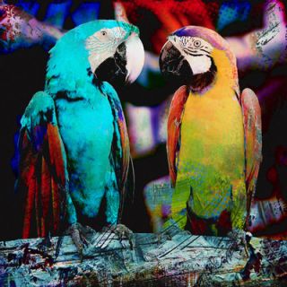 Salty & Sweet Parrot Friends Graphic Art on Canvas SS080 Size 12 H x 12 