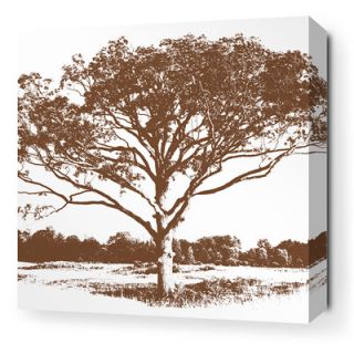 Inhabit Morning Glory Tree Stretched Graphic Art on Canvas in Chocolate TREEC