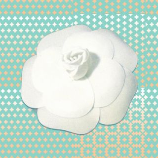 Salty & Sweet Powder Flower White Graphic Art on Canvas SS057 Size 12 H x