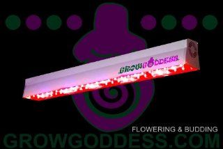 LED Grow Light Grow Goddess 600 Flowering & Budding  Plant Growing Lamps  Patio, Lawn & Garden